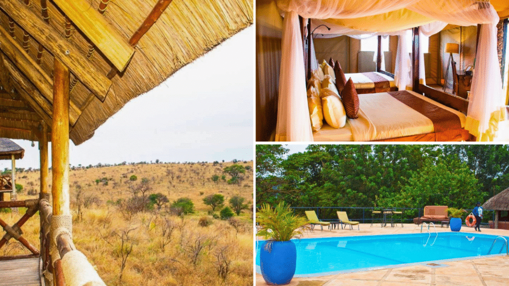 Safari vehicles from Zara Tanzania Adventures follow a pride of lions along a dirt track in the Tanzanian wilderness.