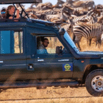 A group of tourists observe zebras from a safari vehicle in the African savannah.