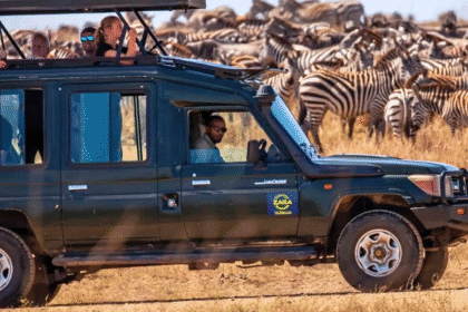 A group of tourists observe zebras from a safari vehicle in the African savannah.