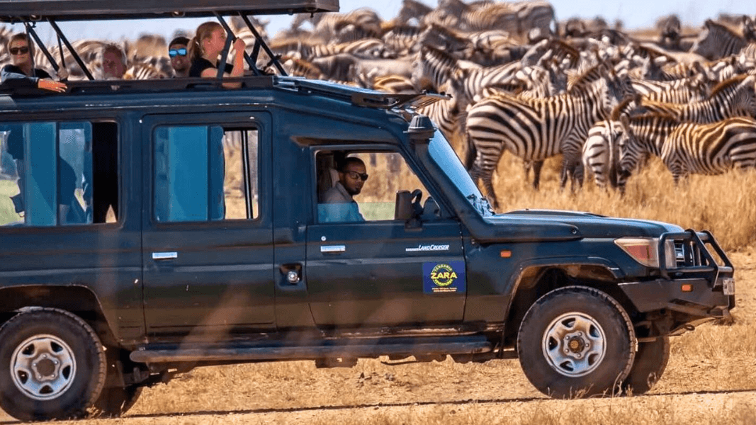 A group of tourists observe zebras from a safari vehicle in the African savannah.