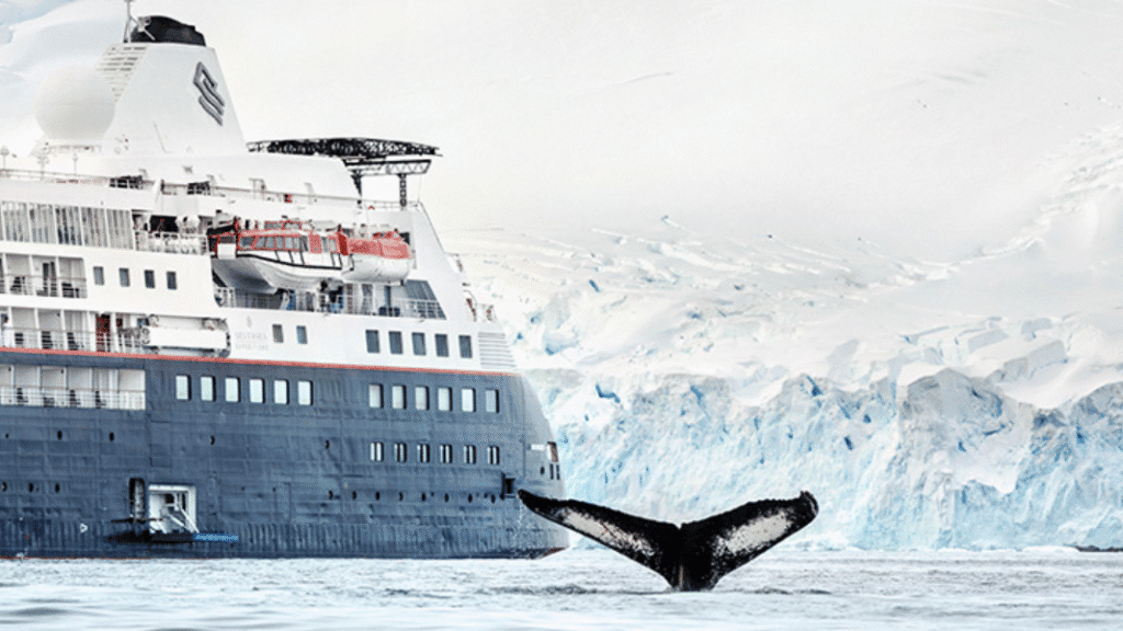 A humpback whale’s tail fin rises above icy waters near a Silversea cruise ship, with snowy mountains and glaciers in the background.